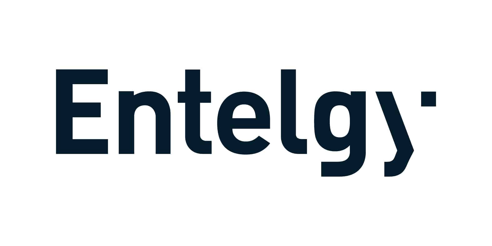 Entelgy